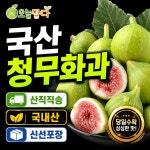[믿음농장] 국내산 청무화과 생무화과 달콤한 제철 무화과 아이간식 1kg, 1개 : 오늘담다24