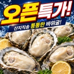 [오픈행사] 한정수량 통통한 프리미엄 크림 대왕 바위굴 당일조업 산지직송 신선한 제철 : 한들 유통
