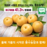 저탄소GAP 26년햇배 원황배 가정용 업소용 선물세트 5kg 7.5kg 15kg : 풍수농장