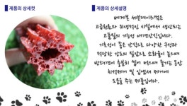 베게덴탈램팝핀빅본 양고기 100g, 1개 : 숭구리댕댕