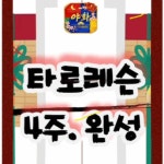 [동양타로 레슨수업] 타로마스터 직강으로 개인1:1맞춤 4주레슨클래스 : 야화타로
