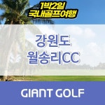 월송리cc 1박2일 36홀 강원도 원주 골프패키지 : 자이언트 골프패키지