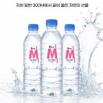 물마루 파워미네랄워터7.4 500ml, 20개 : 웰빙 스튜디오
