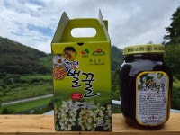 임실 섬진강 천담마을 자연산 천연 아카시아꿀 1kg, 1병 : 우리들.농장