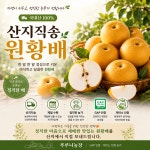 경북안동 원황,화산,신고배 저탄소, GAP 달콤시원한 품질좋은 7.5kg : 푸루니농장