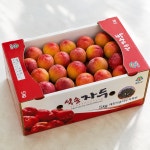 경북 예천 가을 추희 자두 5kg : 석송자두농장