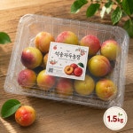 경북 예천 가을 추희 자두 1.5kg : 석송자두농장