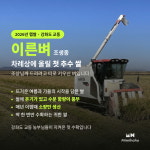 2026 햅쌀 강화도쌀 교동 백미 강화섬쌀 정미소 직송 10kg, 1개 : 미미호호