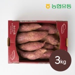 [세종대왕농협] 여주 햇 밤고구마 퍽퍽한 고구마 진율미 산지직송 3kg, 1개 : 농협유통
