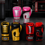 링사이드 에이펙스 무에타이 킥복싱 스파링 글러브 MMA 종합격투기 FTG1 : 아이캠프 스토어