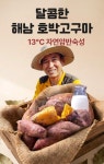 해남 꿀 호박고구마 26년 햇 세척 고구마 3kg 5kg : 남궁농원