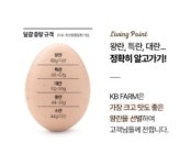 KB farm 계란 명품인증 달걀 왕란 30구 [원산지:국산(대구광역시 달성군)] : 경북농장 진선그린