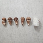 국내산 참송이버섯 무농약 농장직송 1kg, 500g 선물용, 가정용, 일반용, 파지 : 형재 참송이버섯 농수산물