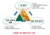 김정문 굿 센스 / 3개월분 : 자연건강알로에