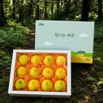 천하일품 제주 고당도 하우스 황금향 가정용 : 천하일품감귤농장