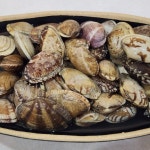 바지락 제철 남해 생물 바지락 3kg 150~180미 조개탕 술찜 : 안녕하농수산