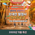 [가을 일품기차여행]대관령 양떼목장&오대산 월정사 전나무숲길 삼척 촛대바위 : 국내여행 여기어때