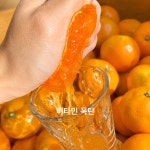 [금호농장]제주도 서귀포 고당도 레드향 선물세트 3kg, 5kg : 제주금호농장