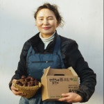 (만석이네농장) 홀랑밤 특,대 1kg : 사비장터