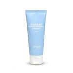 아이샤드 치아씨드 수분 크림 100ml
