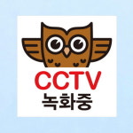 뭉키데코 생활스티커 부엉이 CCTV촬영중02 칼라 2811185