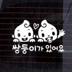 제제데코 쌍둥이가 있어요 baby