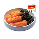 한성푸드 한성기업 총각김치 5kg