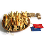 금산인삼도매센터 금산인삼 깨끗한 천연지하수 고압세척 못난이파삼소 750g 금산수삼 산지직송