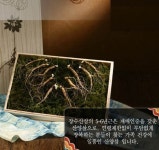 장수산삼 5-6년근 10주 10뿌리 산양삼 장뇌삼 가족형 건강선물 창 청정산지 당일채취배송 hjw