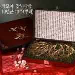 삼모아농장 삼모아 장뇌산삼 산양산삼 10년근 10뿌리 만수무강세트