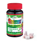 네이처스비타민샵 애니멀 킹덤 멀티비타민 & 미네랄 1580mg x 60정