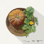 김대섭 호박이넝쿨째 A Windfall Pumpkin 김대섭