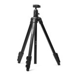 벨본 벨본 M43