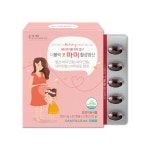 지엠팜 더폴릭 포 마미 활성엽산 500mg x 100캡슐