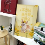 꾸밈 ik560-아크릴액자 봄날의산책