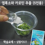 엽록소와카로틴추출 5인세트