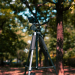 비소 비소 BS-304