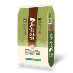 서안성농협 안성 고시히카리 쌀 10kg