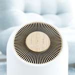 오아 보아르 휘겔리