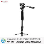 웨이펭 웨이펭 WF-3958M