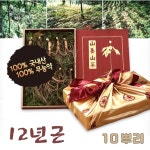 청정강원 횡성산양산삼 12년근 산양삼 10뿌리