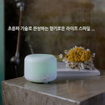 제니디엘 제니디엘 블랑코