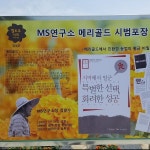 마리골드 꽃차 60g