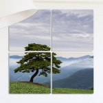 꾸밈 cf475-멀티액자 소나무한그루