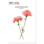 꾸밈 꾸밈인스스티커 카네이션 A0385