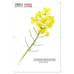 꾸밈인스 꾸밈인스스티커 유채꽃 A0404