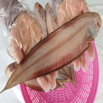 반건조서대 7-8마리 1kg