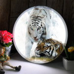 꾸밈 nc 액자25R 백호와호랑이 322-LED