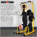 바디스톤 바디스톤 바디스톤 - 어시스트 친 딥 MR5 0 근력운동 택배발송 바디스톤 MR5 0