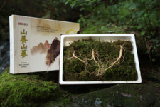 추석 산양산삼 선물세트 장삼촌